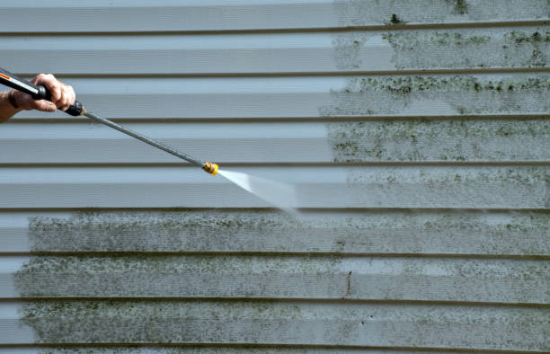 Best Fence Pressure Washing  in Pineland, TX