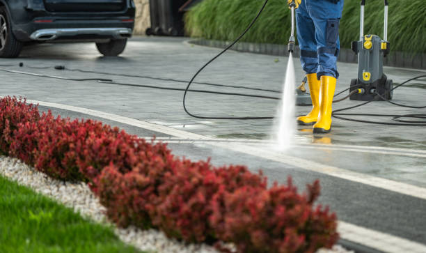 Best Local Pressure Washing Services  in Pineland, TX