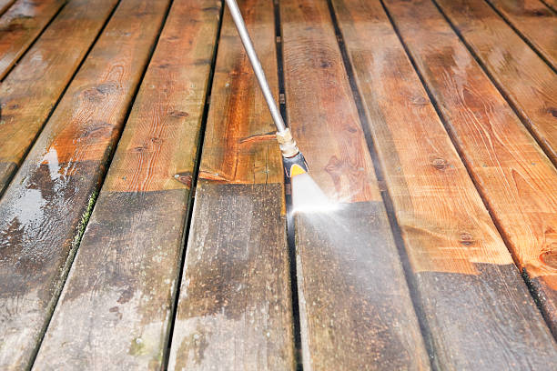 Best Best Pressure Washing Companies  in Pineland, TX