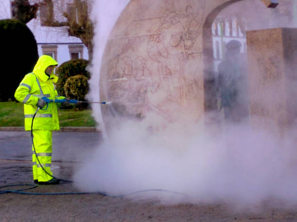 Best Pressure Washing Company Near Me  in Pineland, TX