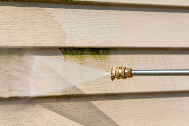 Local Pressure Washing Services in Pineland, TX