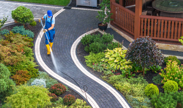 Best Deck Cleaning Services  in Pineland, TX